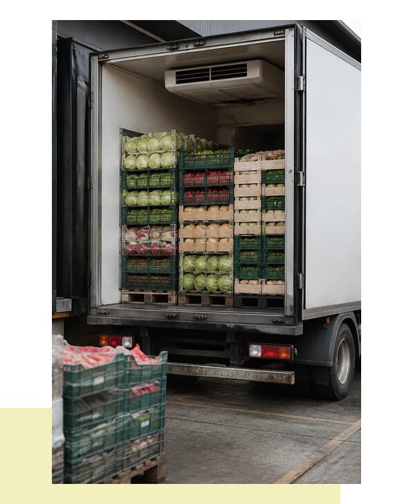 Перевозка плодоовощной продукции оптом напрямую в Ломоносова