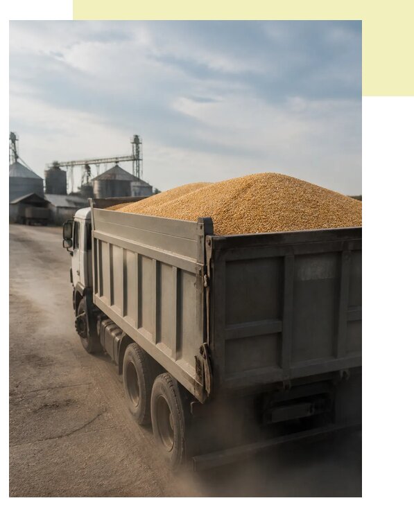 Перевозка сельхозпродукции навалом в Ломоносова по цене от 3074 р. | Агросервис-Лмн